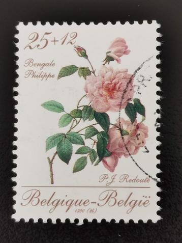 Belgique 1990 - fleurs - Roses Redouté - Philippe rose, Timbres & Monnaies, Enlèvement ou Envoi, Affranchi, Autre