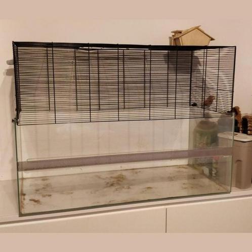 Grote kooi 1 meter lang, Animaux & Accessoires, Rongeurs & Lapins | Cages & Clapiers, Utilisé, Cage, 60 à 90 cm, 75 à 110 cm, Chinchilla