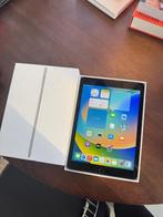 iPad Pro 9,7 inch – 256 GB, Ophalen, Zo goed als nieuw, Grijs, 256 GB