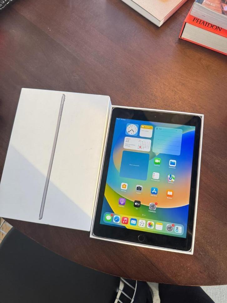 iPad Pro 9,7 inch – 256 GB, Computers en Software, Apple iPads, Zo goed als nieuw, 256 GB, Grijs, Ophalen