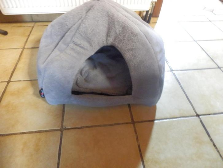 (13) - panier pour petit chien ou chat gris, Dieren en Toebehoren, Kattenmanden, Zo goed als nieuw, Pluche, Ophalen of Verzenden