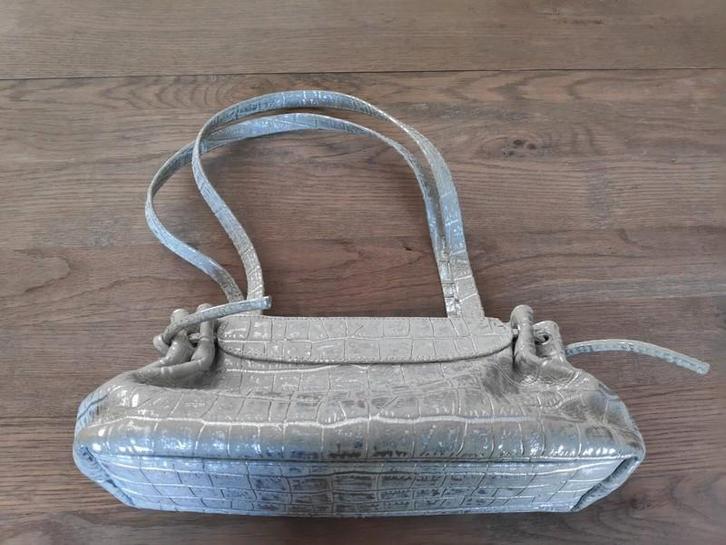 lichtgroen en zilveren schoudertas, Handtassen en Accessoires, Tassen | Schoudertassen, Ophalen