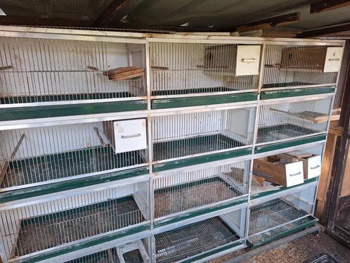 Van Keulen kooi 12 X 80-40-40 compleet, Dieren en Toebehoren, Vogels | Hokken en Kooien, Zo goed als nieuw, Ophalen