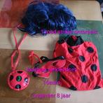 Lady ladybug met pruik verkleedset, Kinderen en Baby's, Carnavalskleding en Verkleedspullen, Ophalen of Verzenden, Zo goed als nieuw