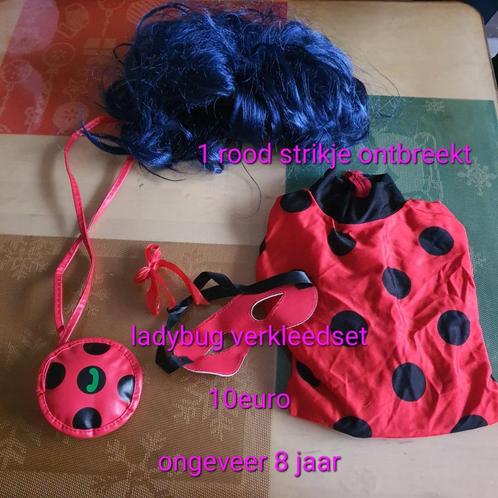 Lady ladybug met pruik verkleedset, Kinderen en Baby's, Carnavalskleding en Verkleedspullen, Zo goed als nieuw, 122 t/m 128, Ophalen of Verzenden