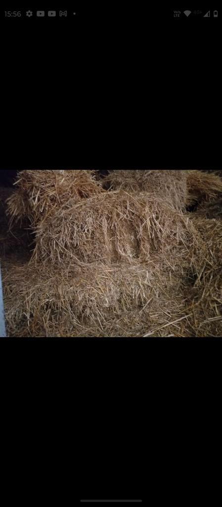 Hooi, Dieren en Toebehoren, Dierenvoeding, Ophalen