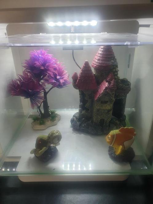 Te koop dringend wegens verhuizing !!, Dieren en Toebehoren, Vissen | Aquaria en Toebehoren, Zo goed als nieuw, Ophalen