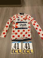 Originele bollentrui Sylvain Chavanel Paris Nice 2014, Sport en Fitness, Ophalen of Verzenden, Gebruikt, Kleding