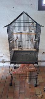 vogelkooi valkparkieten of kleine papegaaien, Dieren en Toebehoren, Meerdere dieren, Dwergpapegaai of Agapornis