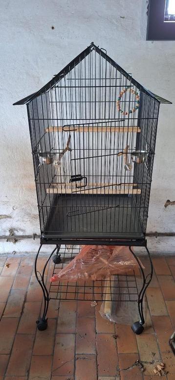 vogelkooi valkparkieten of kleine papegaaien beschikbaar voor biedingen