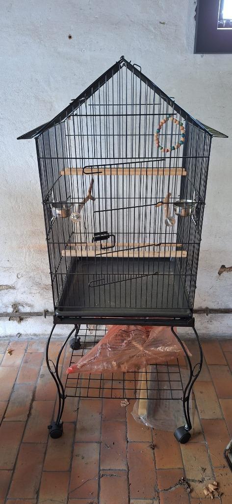 vogelkooi valkparkieten of kleine papegaaien, Dieren en Toebehoren, Vogels | Parkieten en Papegaaien, Dwergpapegaai of Agapornis