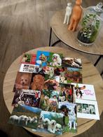 19 vintage ansichtkaarten van honden, Verzamelen, Postkaarten | Dieren, 1960 tot 1980, Ongelopen, Ophalen of Verzenden, Hond of Kat