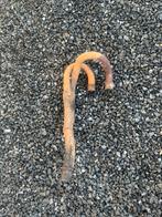 Uitlaat, spruitstuk voor honda xr 250/motorfiets, Ophalen of Verzenden