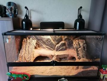 Terrarium voor baardagame of ander reptiel beschikbaar voor biedingen