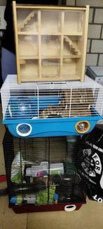 Hamsterkooien en toebehoren, Dieren en Toebehoren, Kooi, 60 tot 90 cm, Minder dan 75 cm, Ophalen of Verzenden