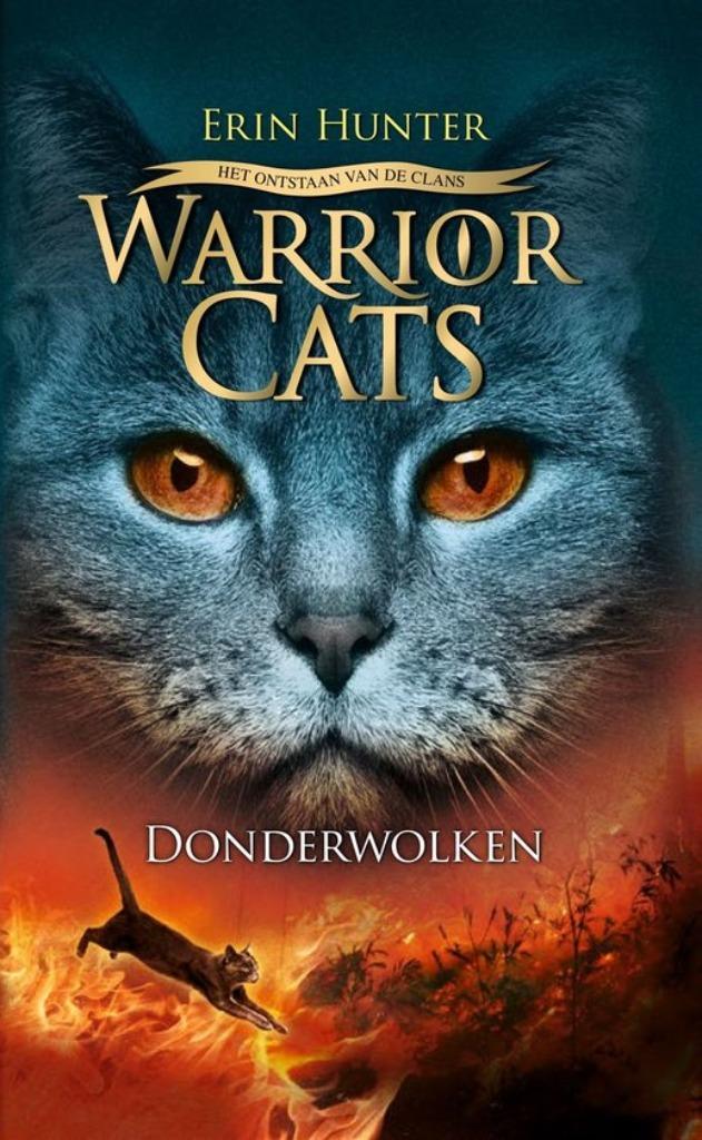 Donderwolken, Boeken, Kinderboeken | Jeugd | 13 jaar en ouder, Nieuw, Fictie, Ophalen of Verzenden