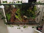 Terrarium 80x60x60, Dieren en Toebehoren, Reptielen en Amfibieën | Toebehoren, Ophalen, Zo goed als nieuw