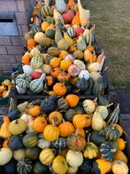 Sierfruit te koop voor decoratie, Ophalen, Zo goed als nieuw