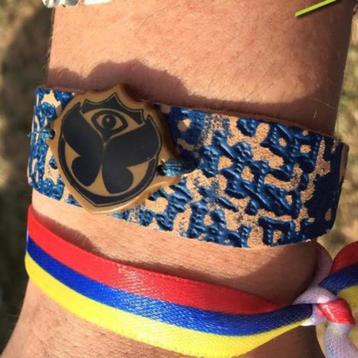Tomorrowland Brasil 2015 - Bracelet Gezocht., Tickets & Billets, Une personne, Plusieurs jours