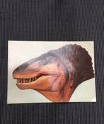Postkaart Tyrannosaurus Rex, Collections, Cartes postales | Animaux, Reptile, Non affranchie, 1980 à nos jours, Enlèvement ou Envoi