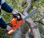 Bomen zagen, Tuin en Terras, Brandhout, Ophalen of Verzenden