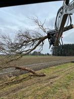 Knotten van wilgen, afzagen van bomen, Tuin en Terras, Brandhout, Ophalen