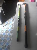 a vendre 2 canne a  peche, Ophalen, Gebruikt, Complete hengel
