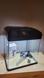Aquarium Amtra Laguna 30 /LED/ 30x35x24cm/16L/Filter, Dieren en Toebehoren, Ophalen of Verzenden, Zo goed als nieuw, Leeg aquarium