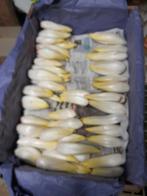 Grondwitloof, Ophalen