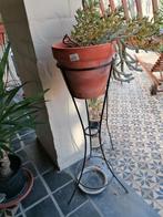 3 plantenstaanders, Ophalen