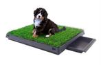 Ideaal Indoor Hondentoilet: Kunstgras met Bak- Met Levering, Diensten en Vakmensen, Dieren | Honden | Verzorging, Oppas en Les