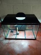 aquarium zolux led pompe filtrante thermomètre très bon état, Enlèvement, Utilisé