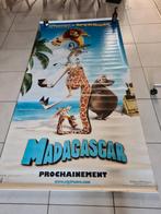 Film affiche  madagascar, Verzamelen, Posters, Ophalen of Verzenden, Zo goed als nieuw