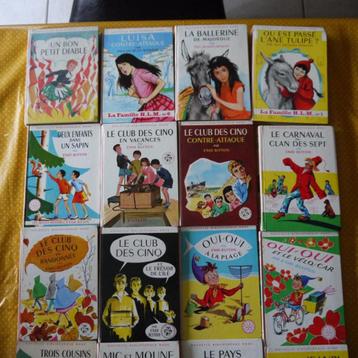 lot de 17 livres de  la Nouvelle bibliothèque Rose Hachette beschikbaar voor biedingen