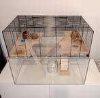 Cage pour rongeurs avec accessoires, Ophalen, Zo goed als nieuw, Kooi