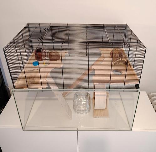 Cage pour rongeurs avec accessoires, Dieren en Toebehoren, Knaagdieren en Konijnen | Hokken en Kooien, Zo goed als nieuw, Kooi