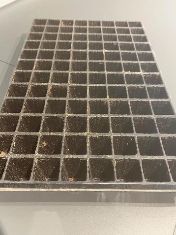Stekplaat plantplaat zaaiplaat 77 gaten  beschikbaar voor biedingen