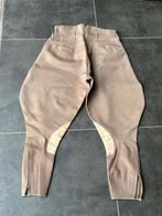 WWII - pantalon PINK CAVALERIE  pour officier U.S., Envoi, Autres, Autres types