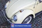 Volkswagen Beetle Cabriolet | 1966 | Route 66 Auctions, Achat, Entreprise, Autre carrosserie, Essence