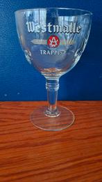 1 glas WESTMALLE Trappist - 25 cl, Verzamelen, Biermerken, Ophalen of Verzenden, Nieuw