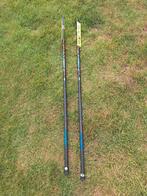 2 handhengels 3 meter, Watersport en Boten, Hengelsport | Witvissen, Ophalen