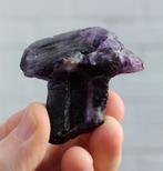 paddestoel FLUORIET uit Erongo in NAMIBIE, Verzamelen, Ophalen of Verzenden, Mineraal