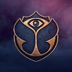 Recherche tomorrowland 2024 wk2 magnificent green, Tickets & Billets