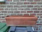 Bloembak in aardewerk, 55cmx18cm, Tuin en Terras, Ophalen, Minder dan 30 cm, Minder dan 60 cm, Tuin