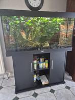 Aquarium 350 liter, Dieren en Toebehoren, Vissen | Aquaria en Toebehoren, Ophalen, Gebruikt, Gevuld zoetwateraquarium