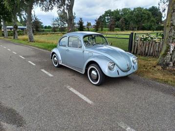 Volkswagen kever - 1984 beschikbaar voor biedingen
