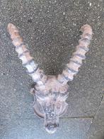 TETE DE BOUQUETIN EN FONTE PATINEE A SUSPENDRE., Jardin & Terrasse, Décoration murale de jardin, Enlèvement ou Envoi, Comme neuf