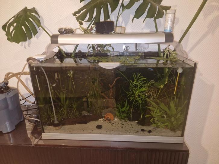 Aquariumverlichting voor 80cm, Dieren en Toebehoren, Vissen | Aquaria en Toebehoren, Gebruikt, Verlichting of Verwarming, Ophalen of Verzenden