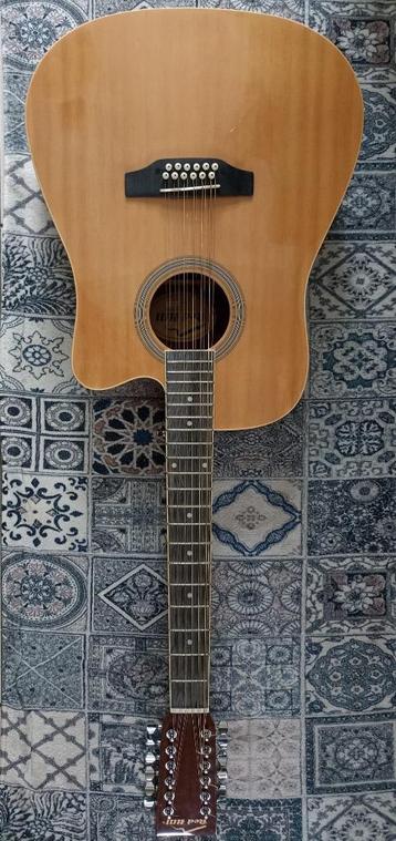 Guitare 12 cordes Red Hill AF-8 beschikbaar voor biedingen