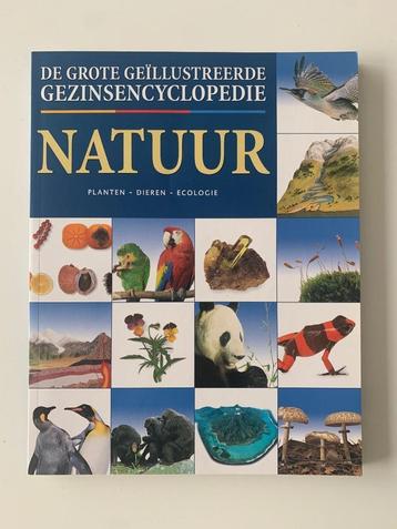 De grote geïllustreerde gezinsencyclopedie: Natuur planten-d